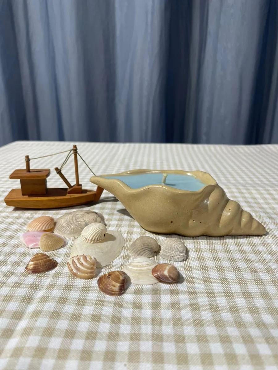 Vela concha - Baunilha